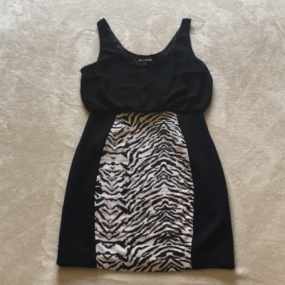 Express Animal Printed Dress